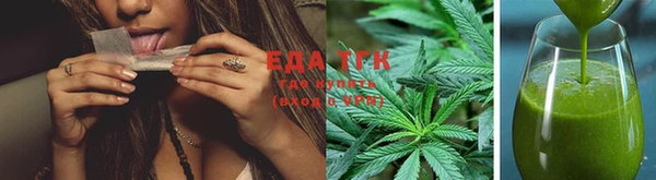 индика Кулебаки