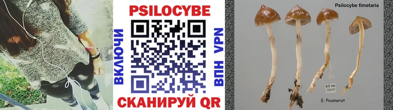 Псилоцибиновые грибы Psilocybine cubensis  закладки  Спасск-Рязанский 
